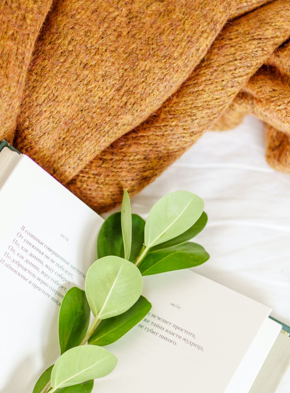 open book with green plant stem near soft fabric